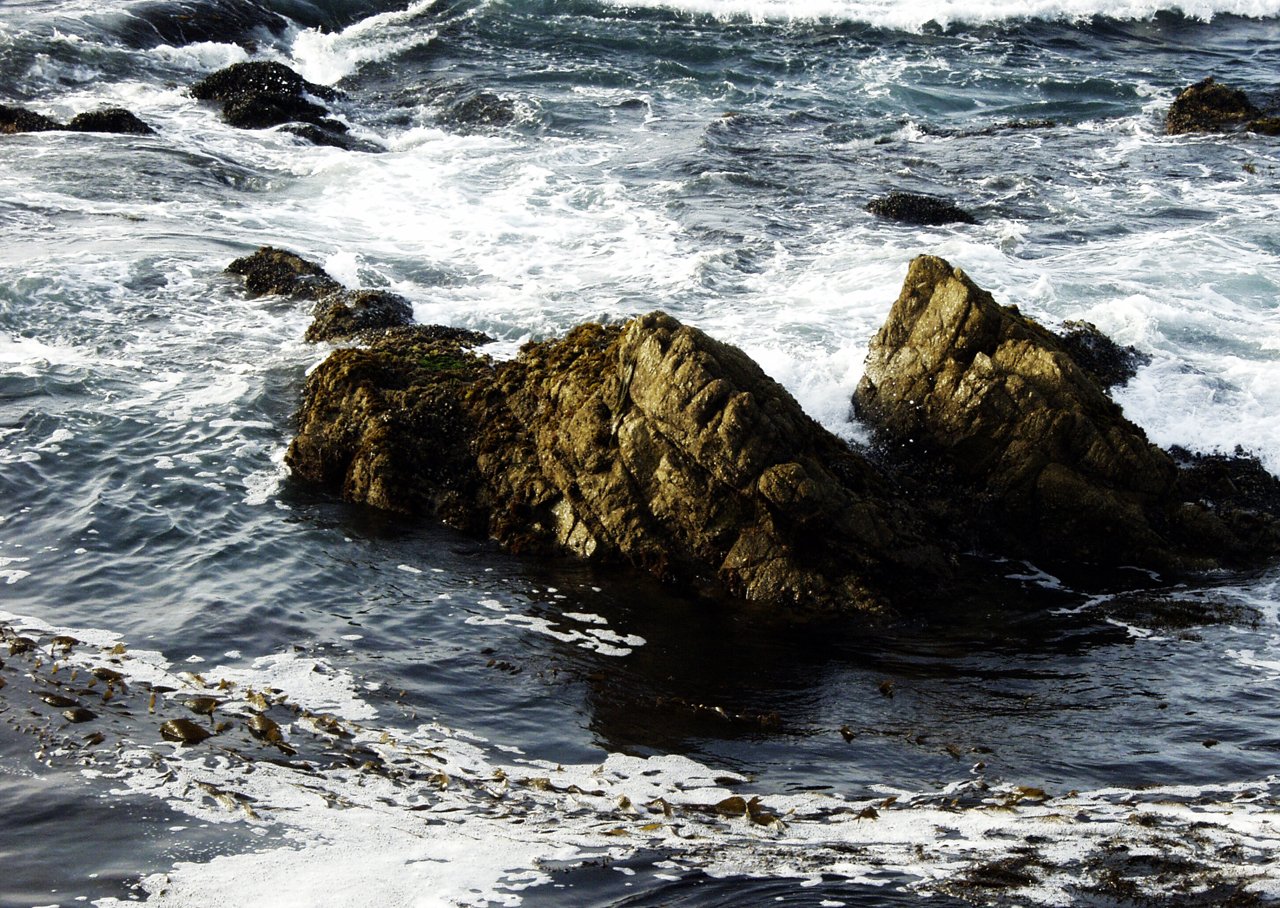 rocks on the beach covered in foam near the ocean