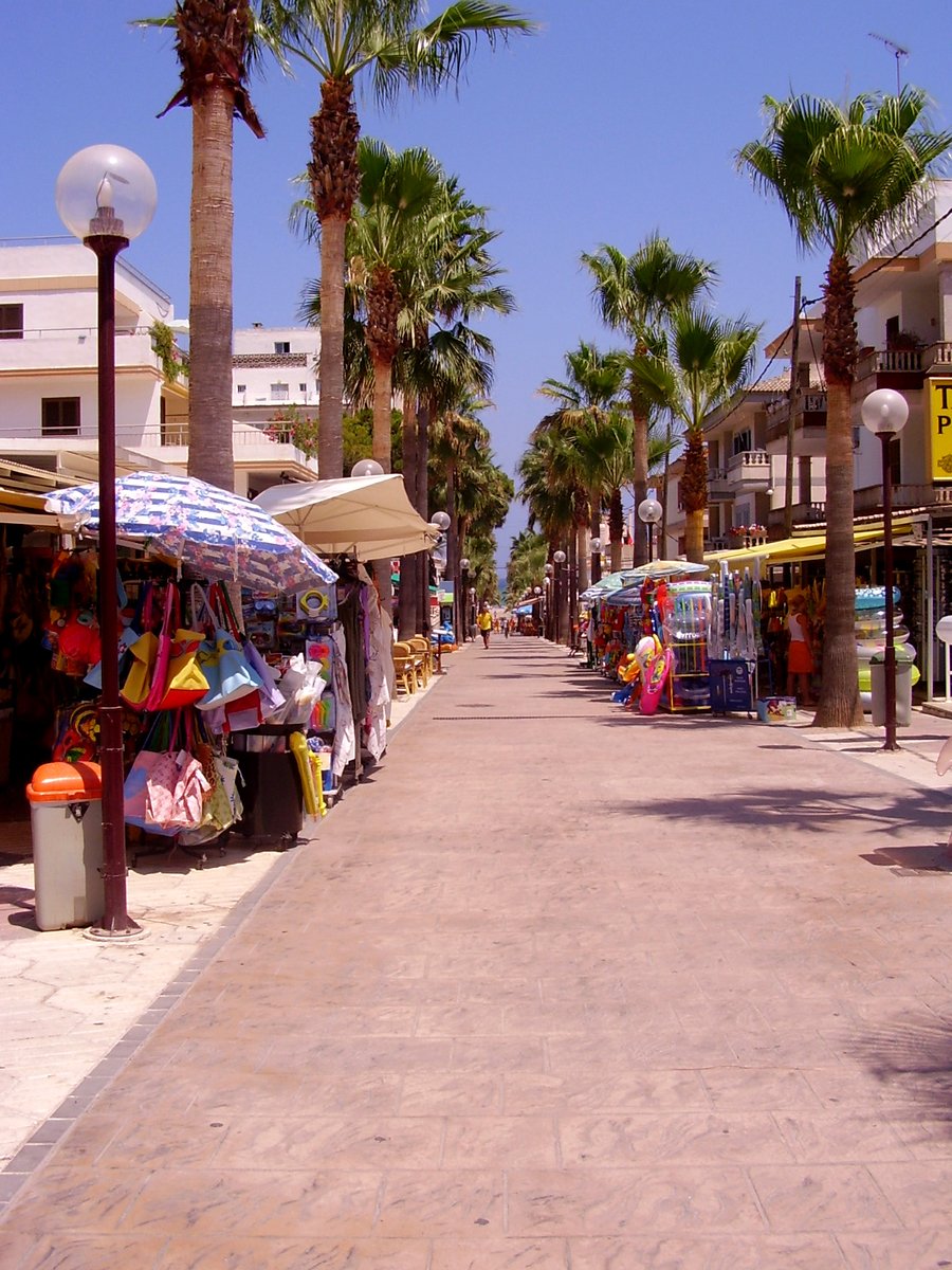 several tents lined up along a sidewalk near palm trees