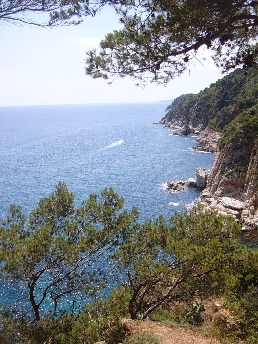 a body of water with trees and cliff side