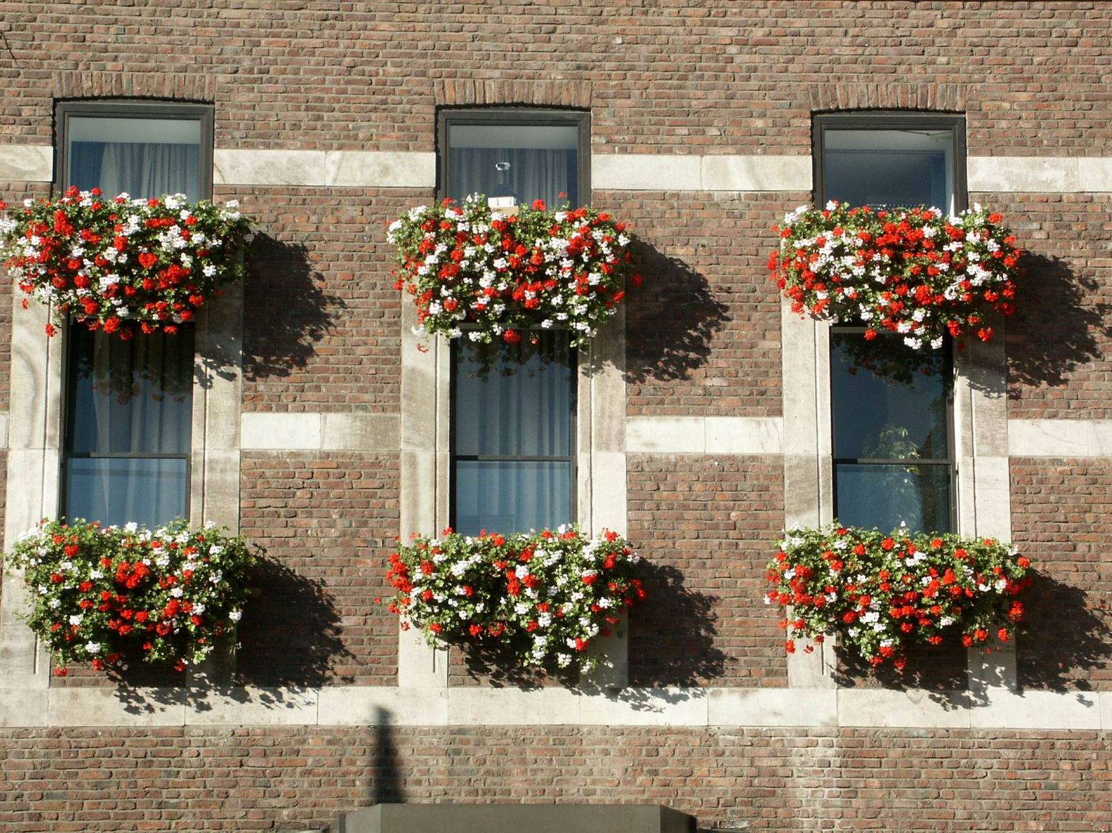 an image of a wall with flower baskets on it