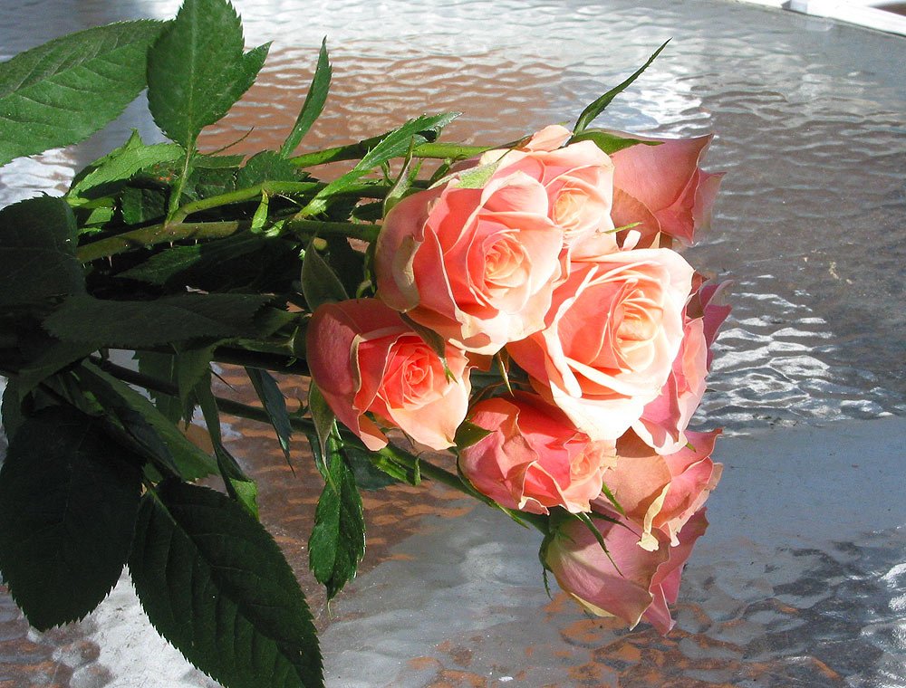 some pretty roses that are laying on the table