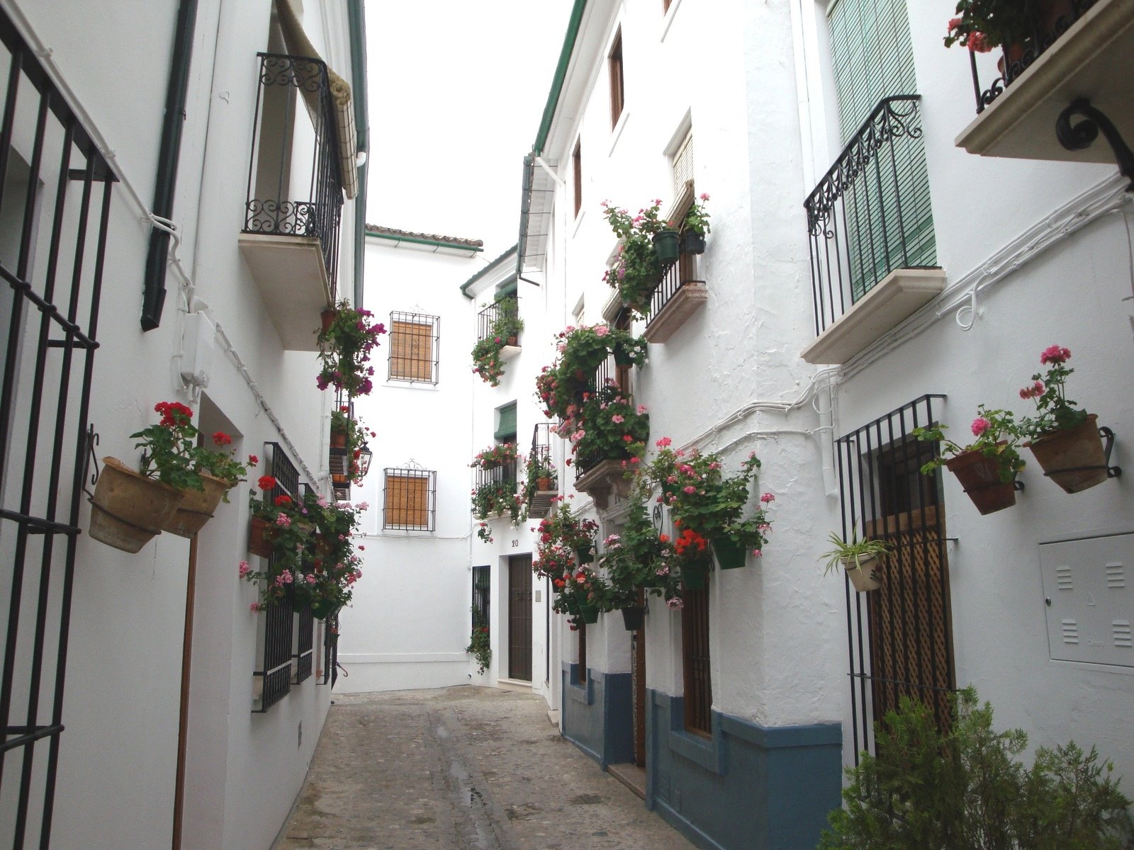 the colorful flower boxes are above the doors and windows of buildings