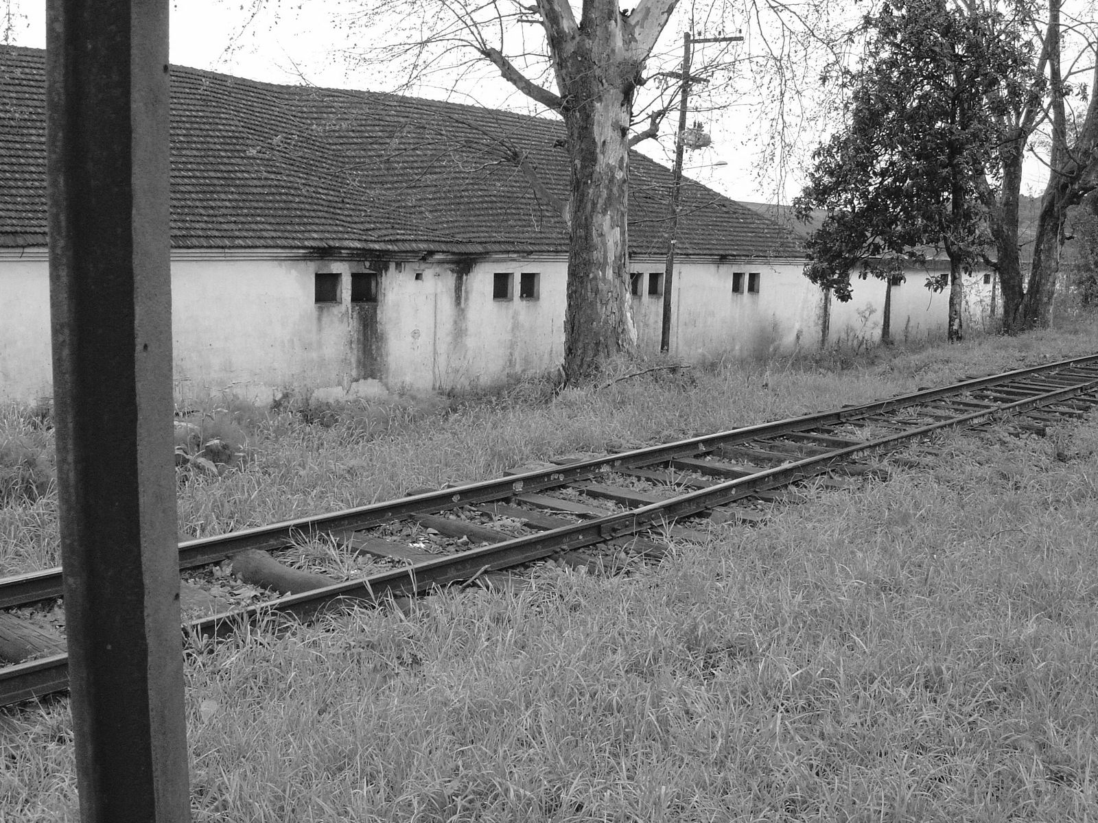 a black and white image of the back side of a house