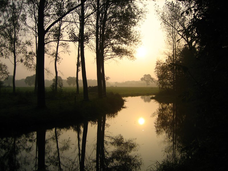 a sunset in the distance with trees and a pond