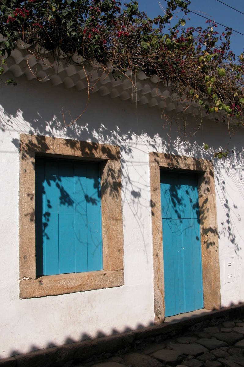 an image of three windows with flowers in them