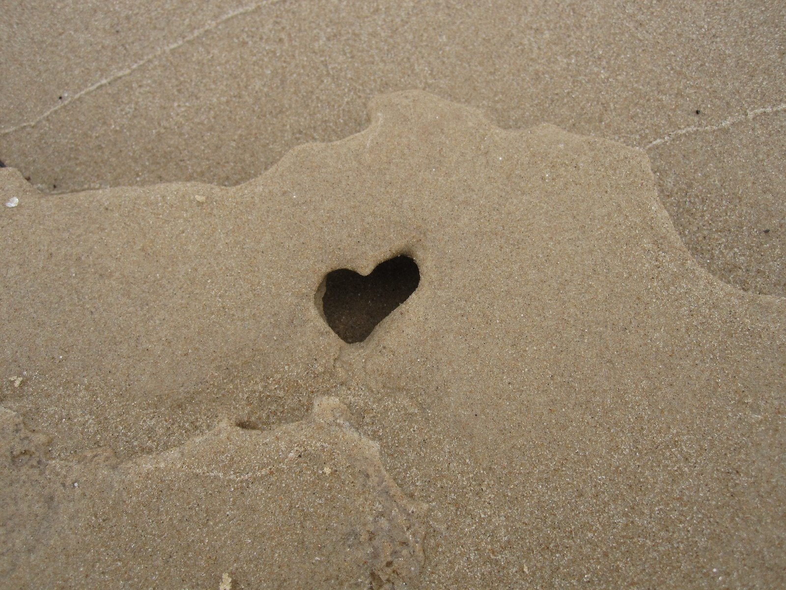 an animal footprints on the sand with a heart in it