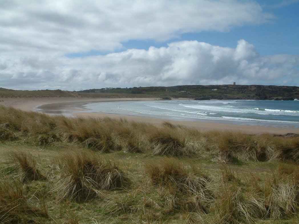 a wide sandy beach with waves and grass on the shore