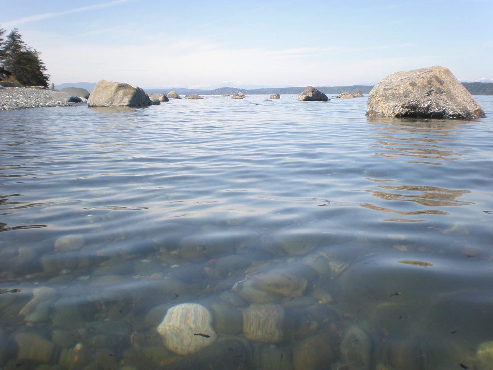 a pond with water bubbles and rocks near by