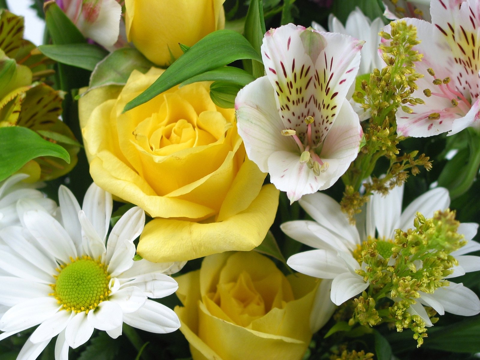 an arrangement of flowers, with one yellow rose