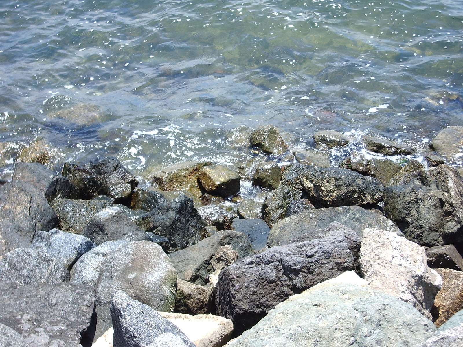 a body of water with rocks in the foreground