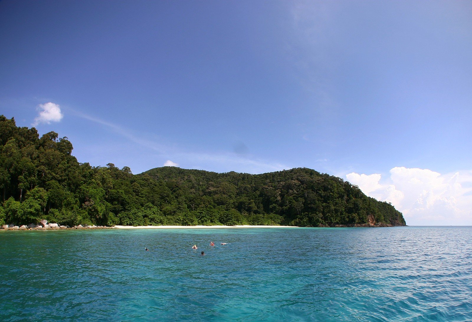 people are swimming on an island with trees