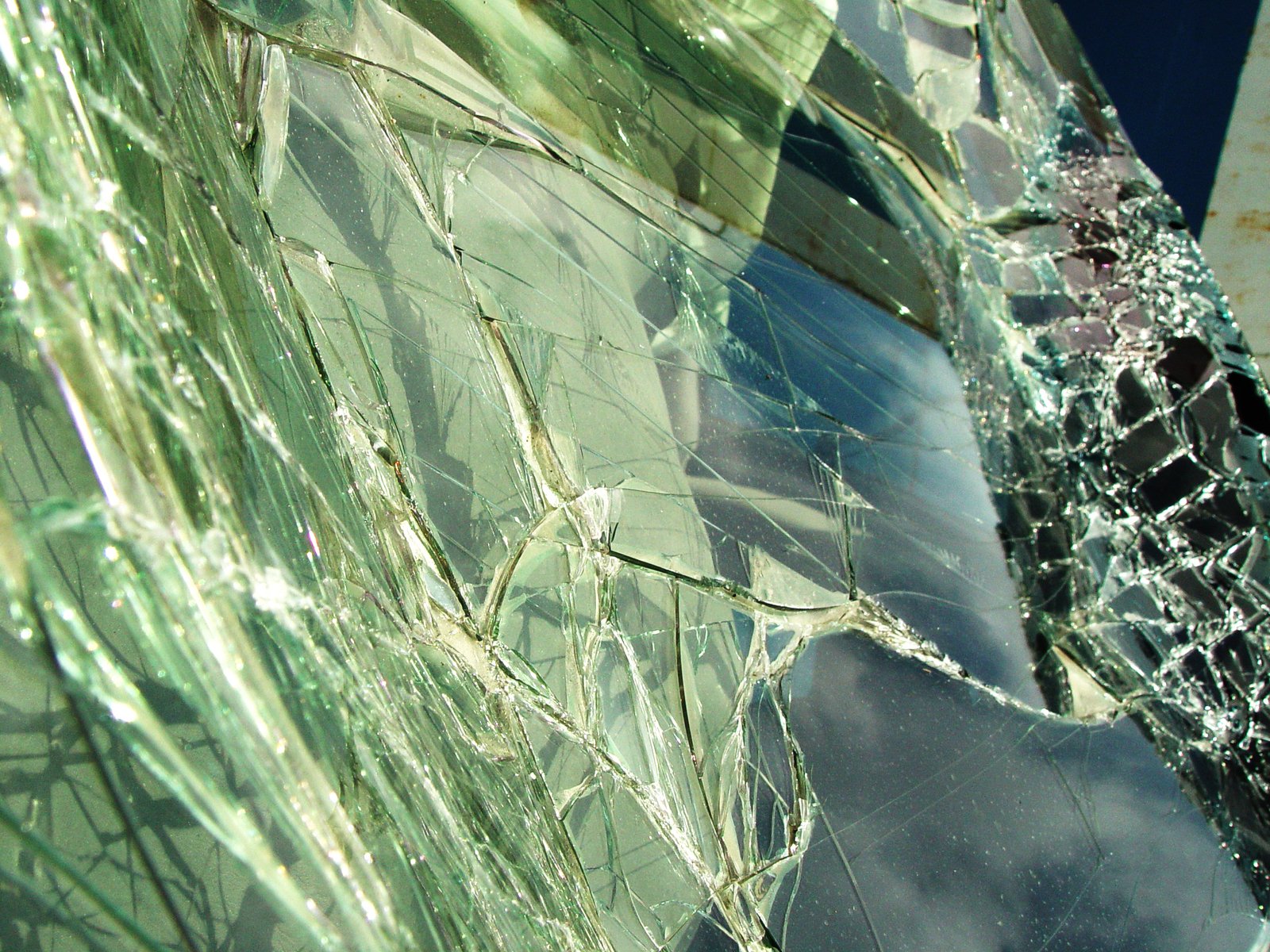 shattered, broken glass with green vegetation against a dark background