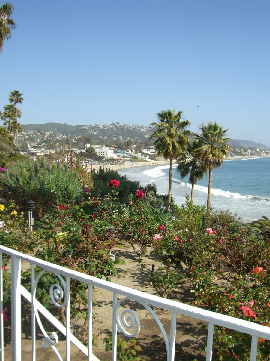 a view of the ocean with some trees on the shore and a path to the beach