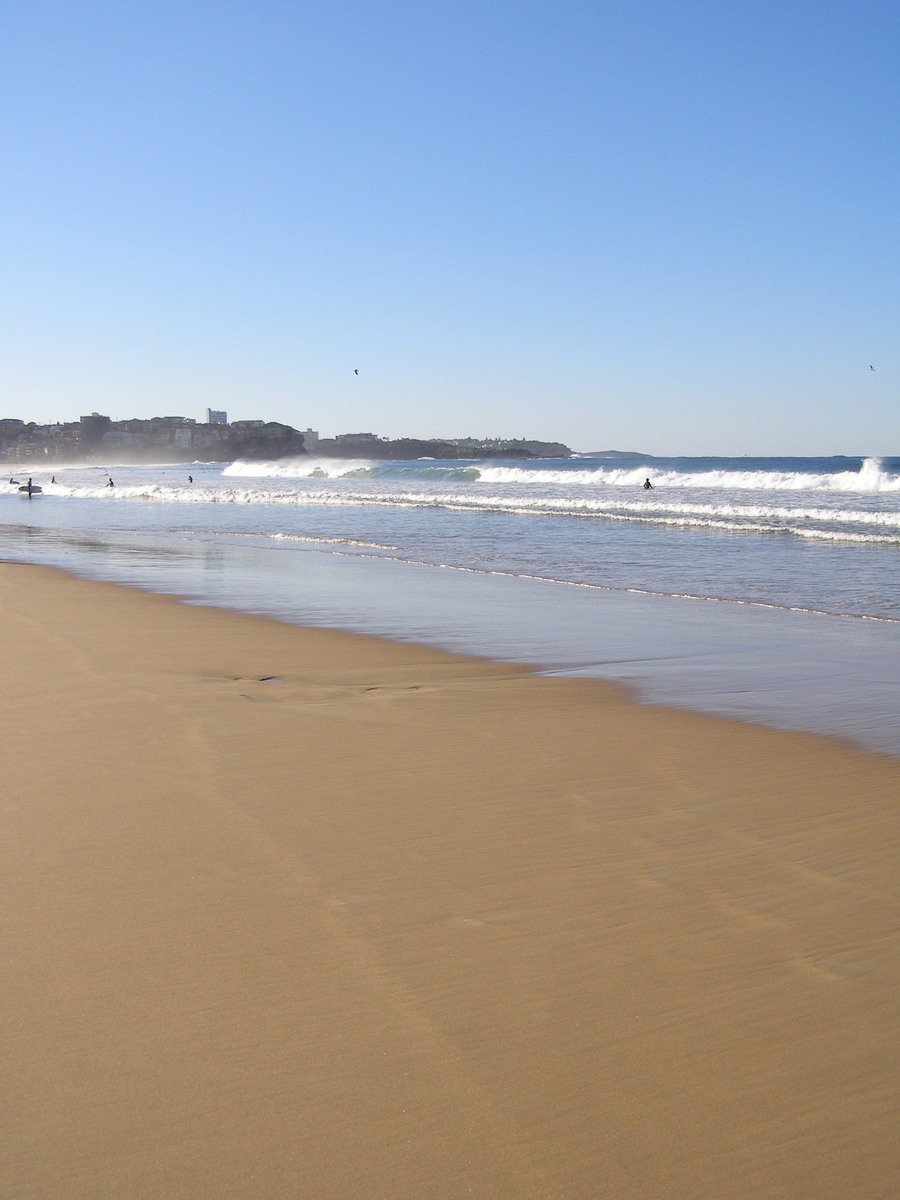 an ocean shore with people in the water