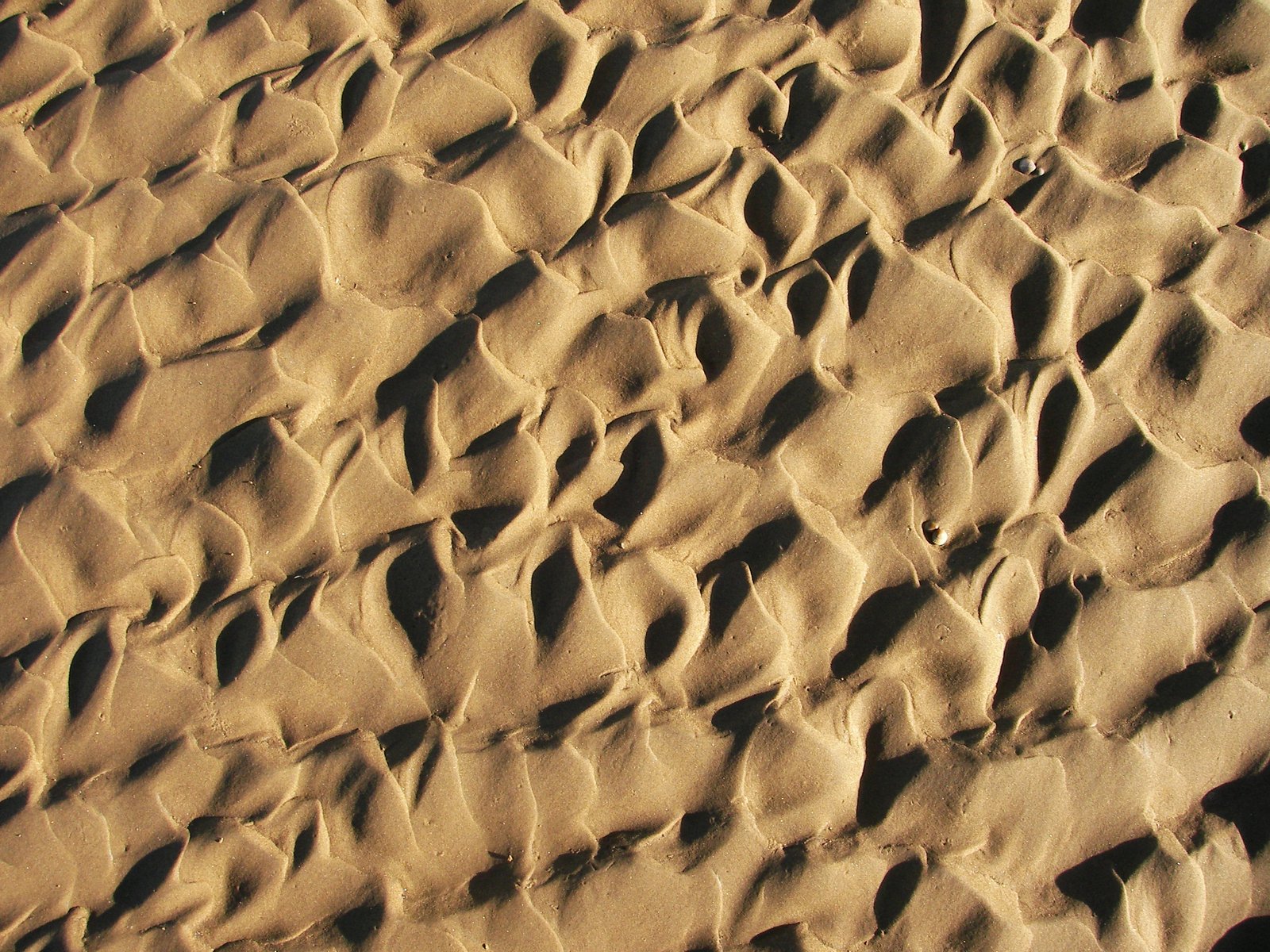 the sand is very rippled and sandy with tiny dots of waves