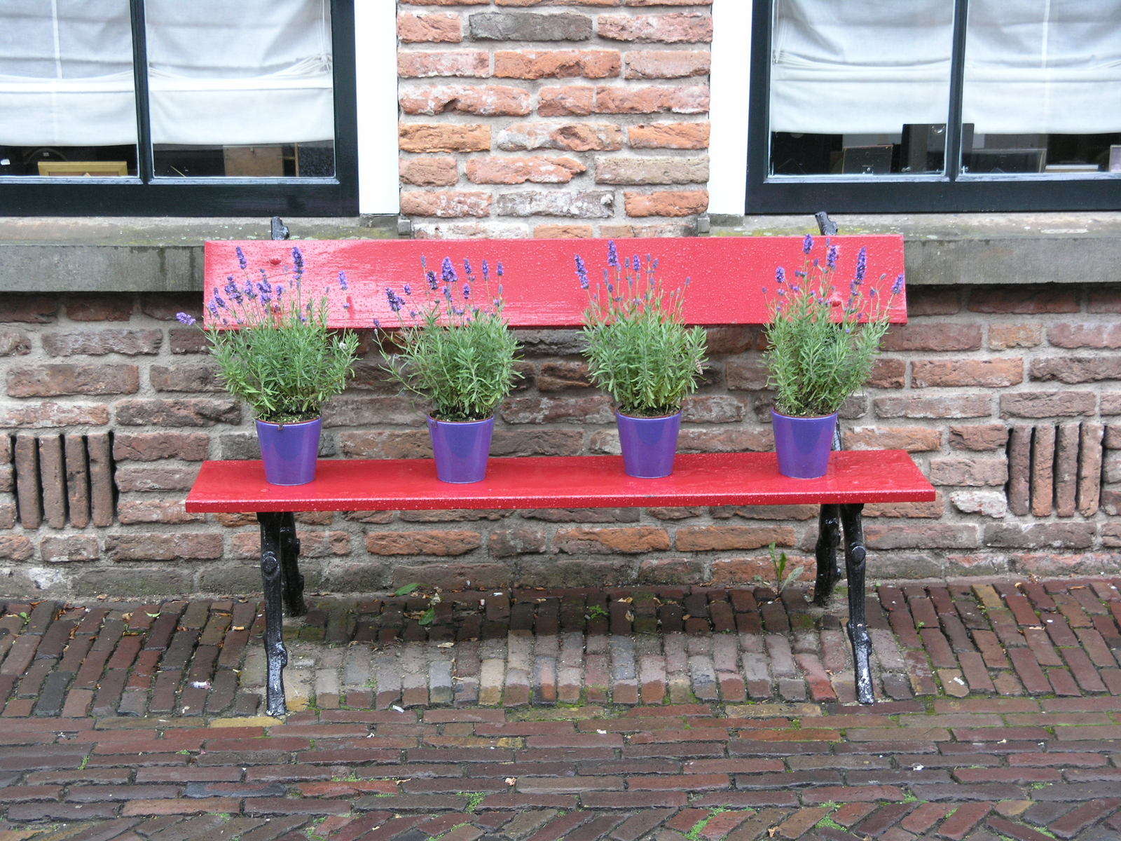 a bench has plants in purple pots on it