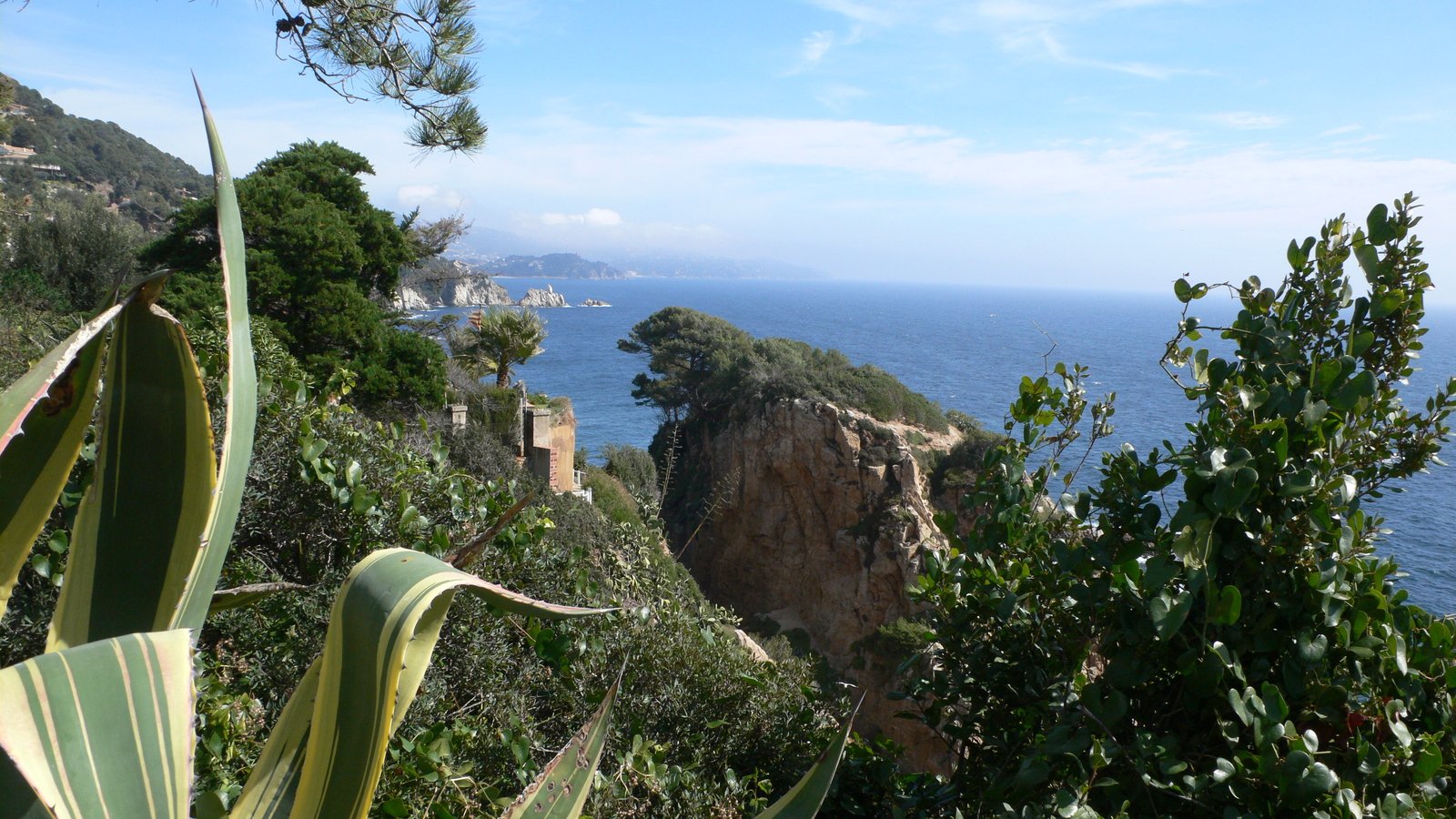 a sea cliff with palm trees in the foreground