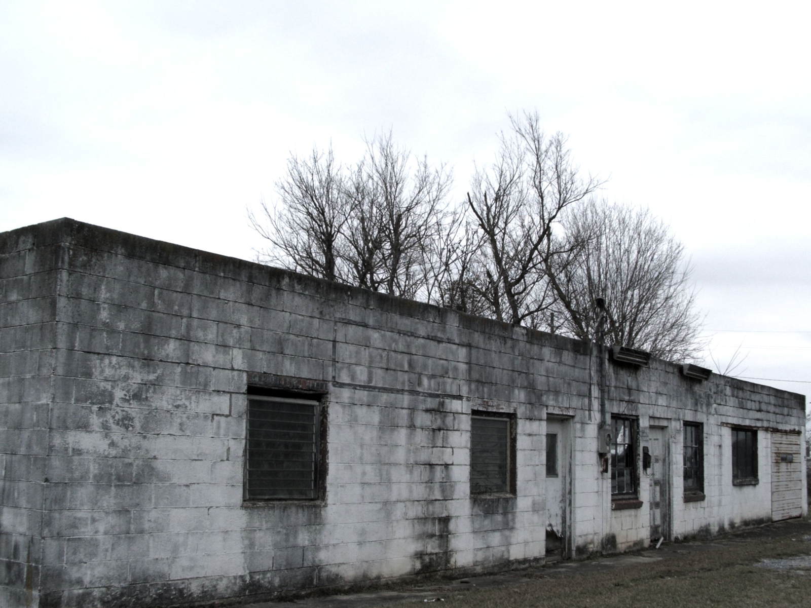 a cement building with trees growing out of the windows