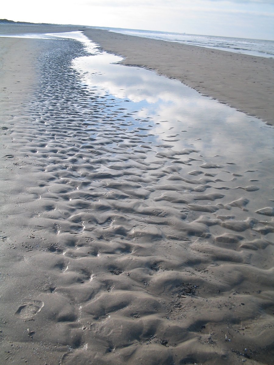 footprints in the sand near an ocean shore