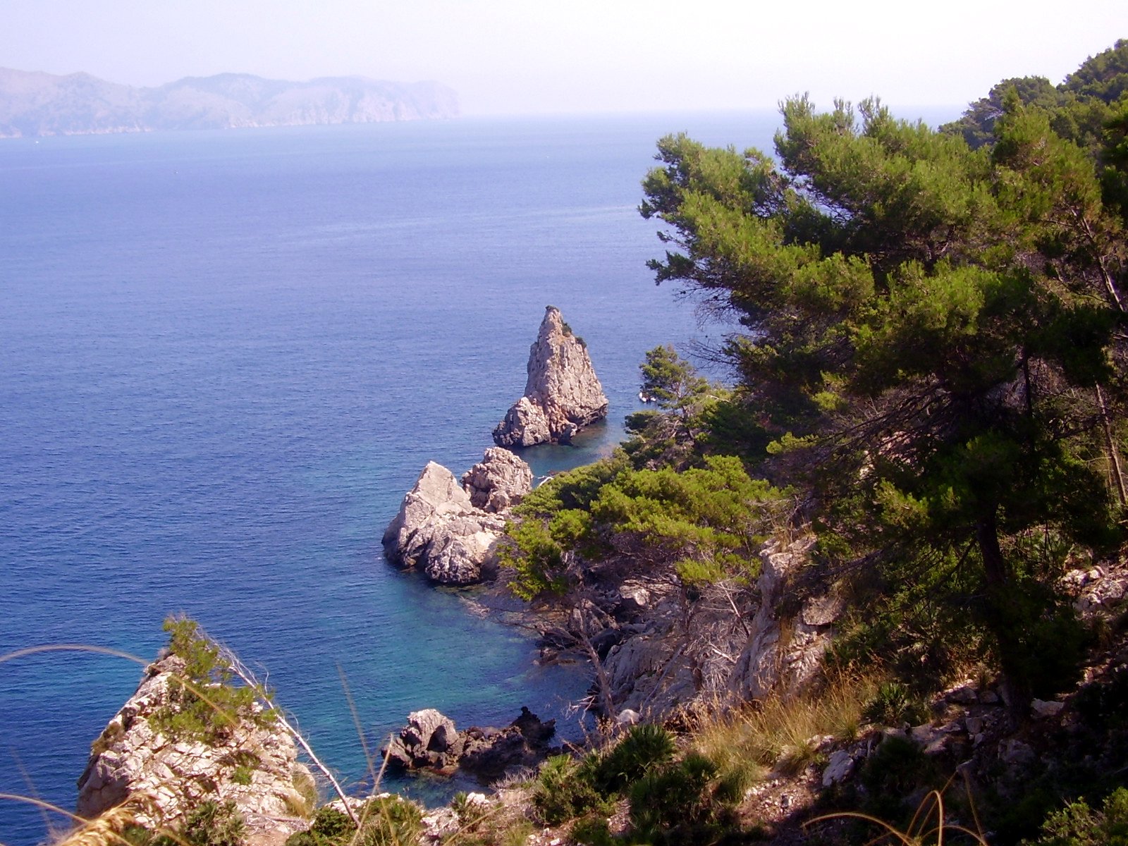 rocky cliff with trees and a few rocks next to the ocean