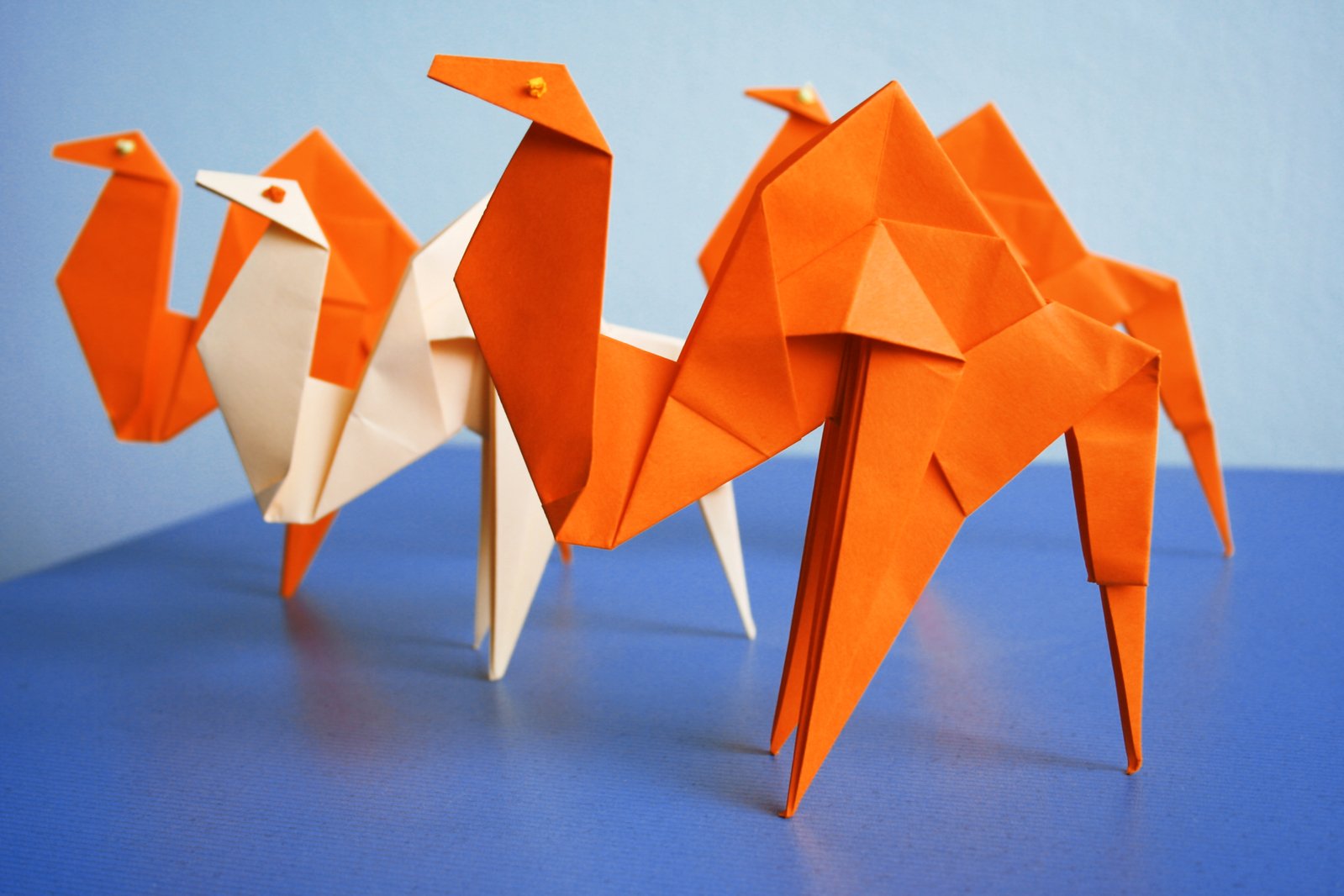 the orange bird origami is next to another bird on a blue surface