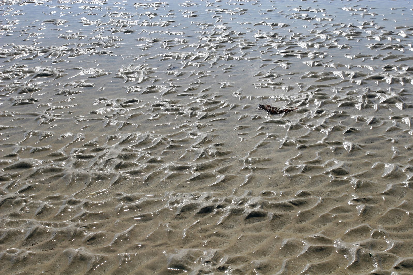 a sandy beach covered in small white waves