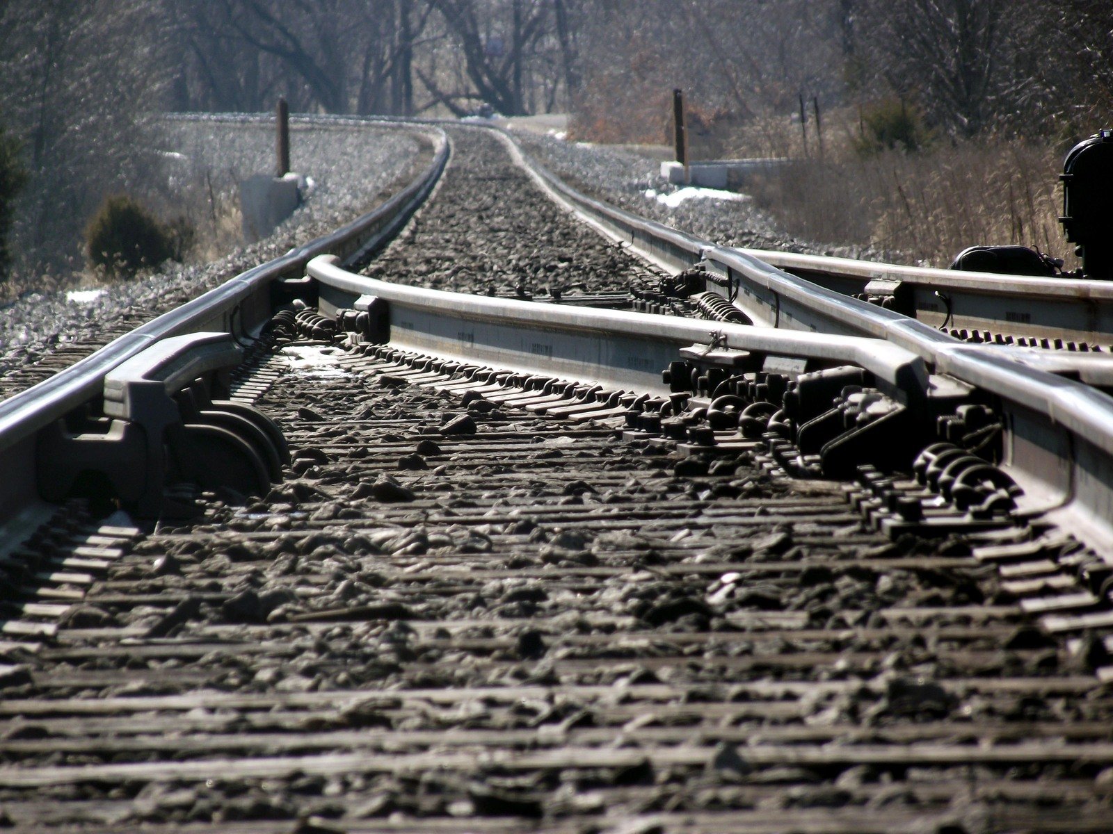 some railroad tracks that are near trees
