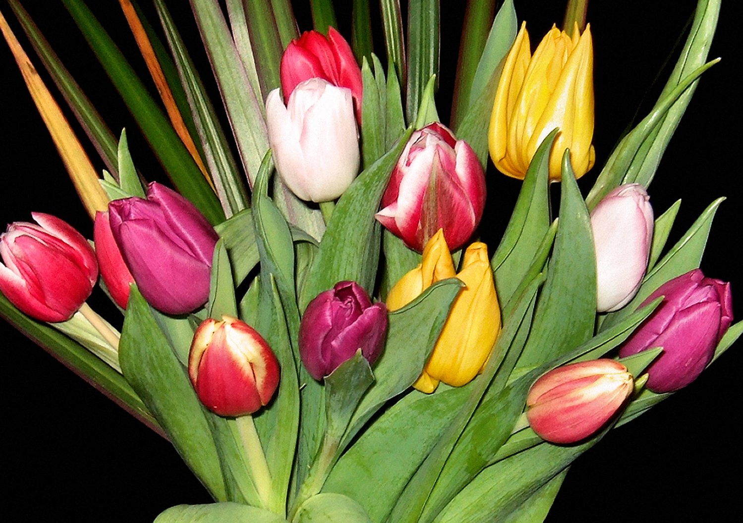 a green vase with different colors of tulips