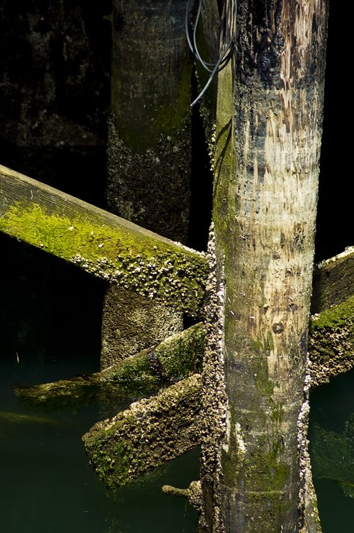 close up of the base of a pole