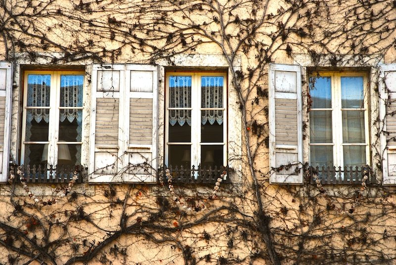 many windows on a brown building covered with vines