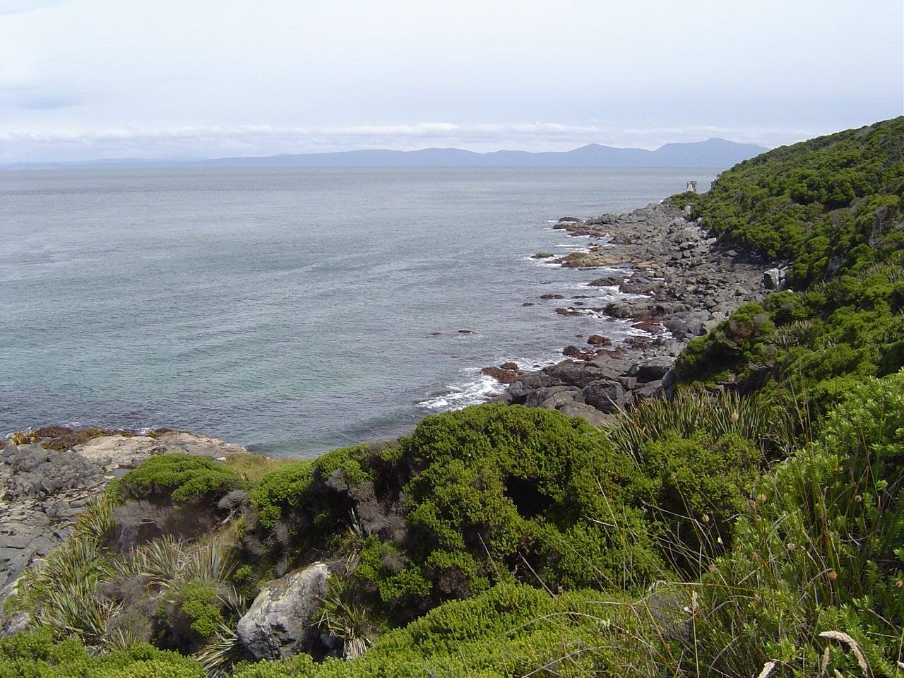 some grass bushes rocks and a body of water