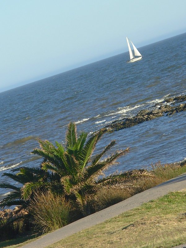 a boat in the water near a sidewalk and some grass