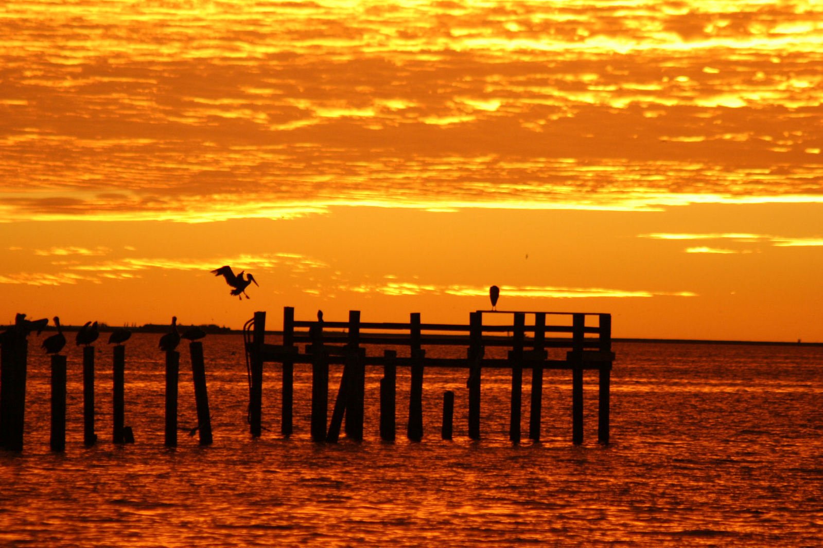 the sun setting on a cloudy beach with birds perched on the docks