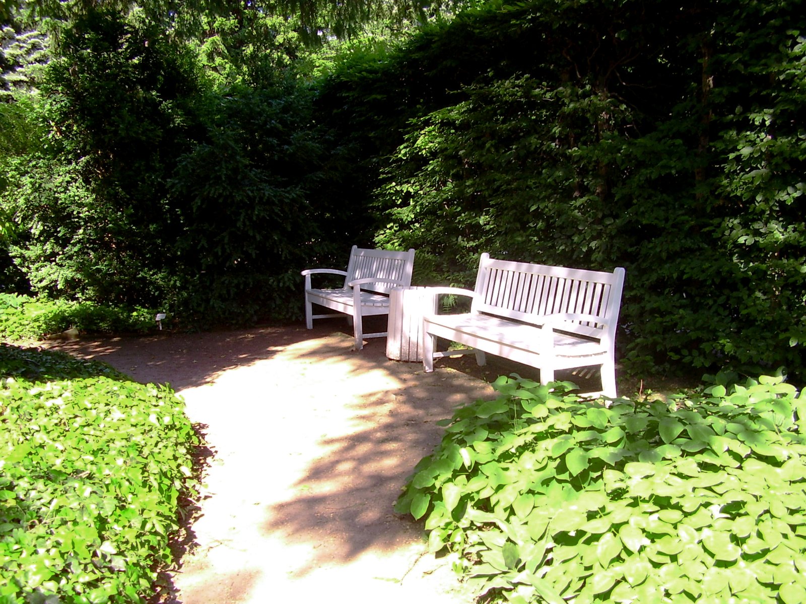 two wooden benches at the end of a path