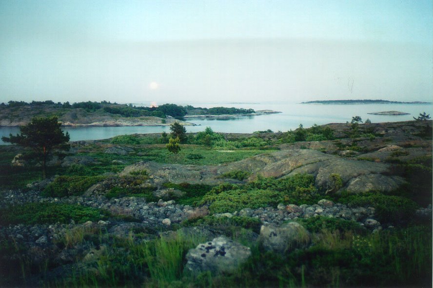 an image of a nature scene with lots of rocks and bushes