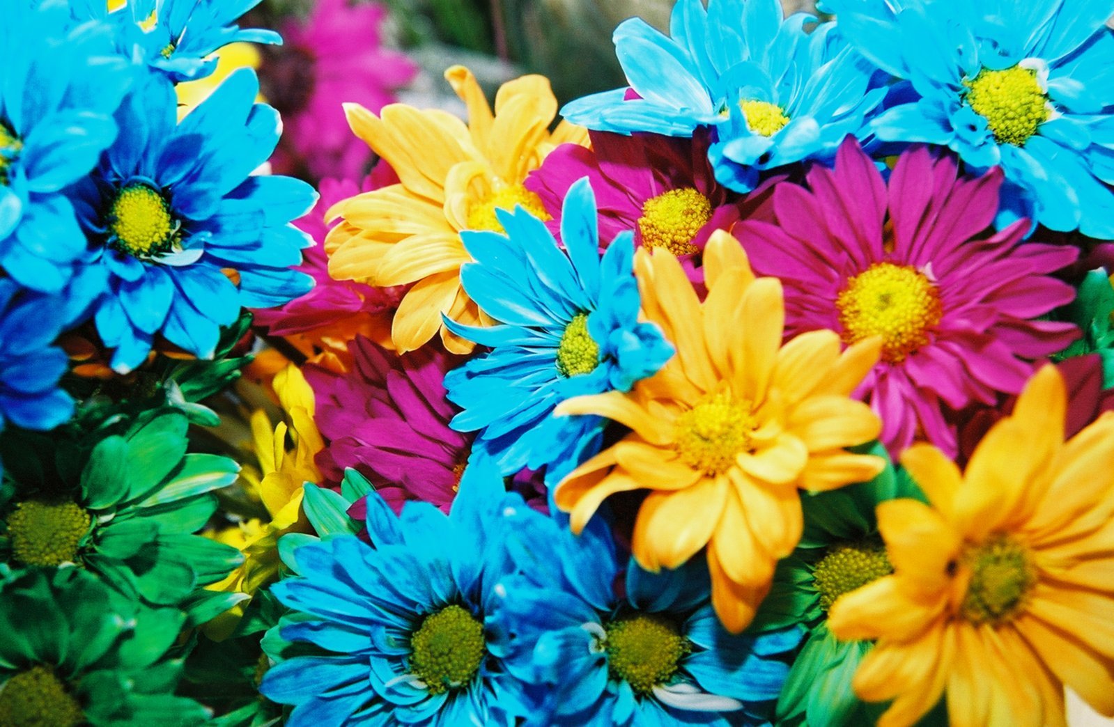 some flowers are sitting on the table together