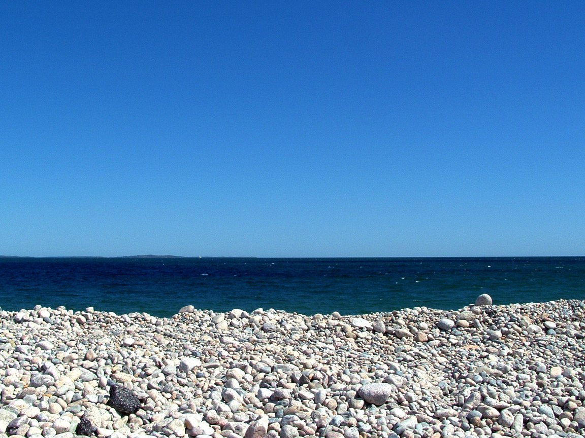 a large amount of rocks are on the beach