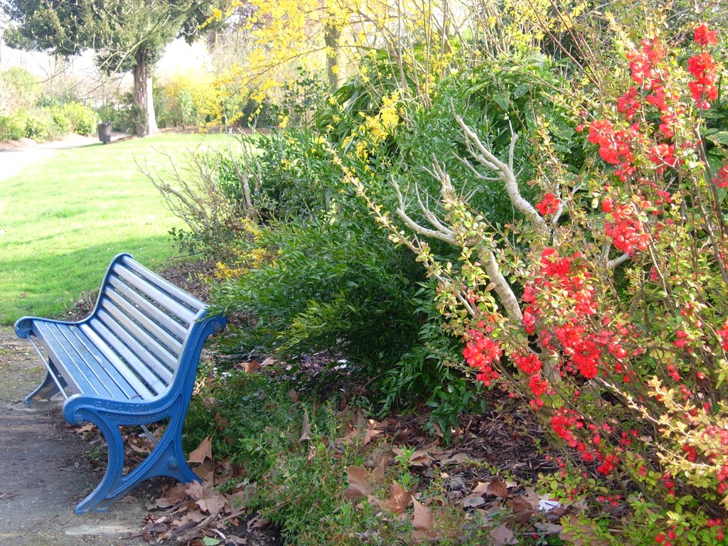 a blue bench sits next to some trees and flowers