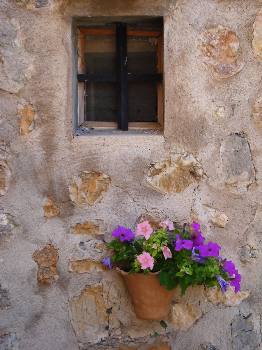 a vase of pansies with purple flowers sits in front of an old window