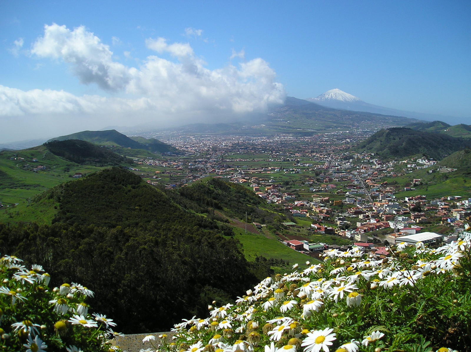 a city on top of the hill with lots of flowers