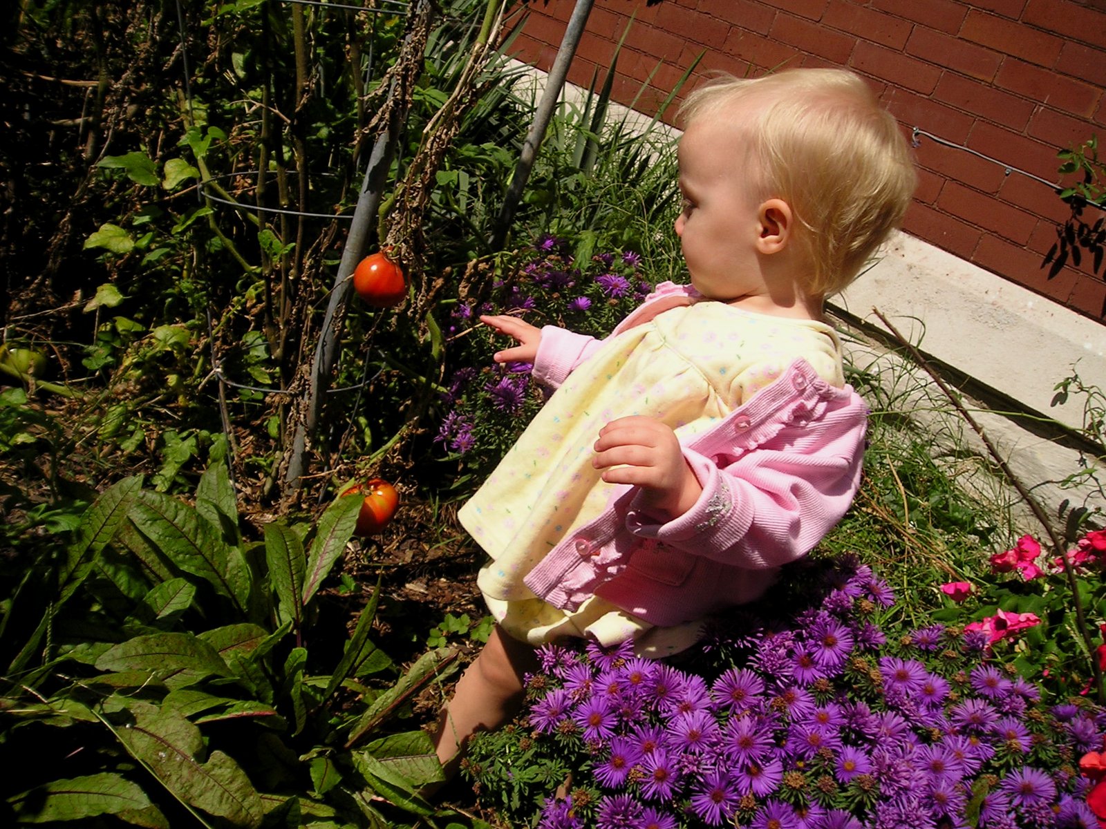 a baby sitting on the ground by flowers