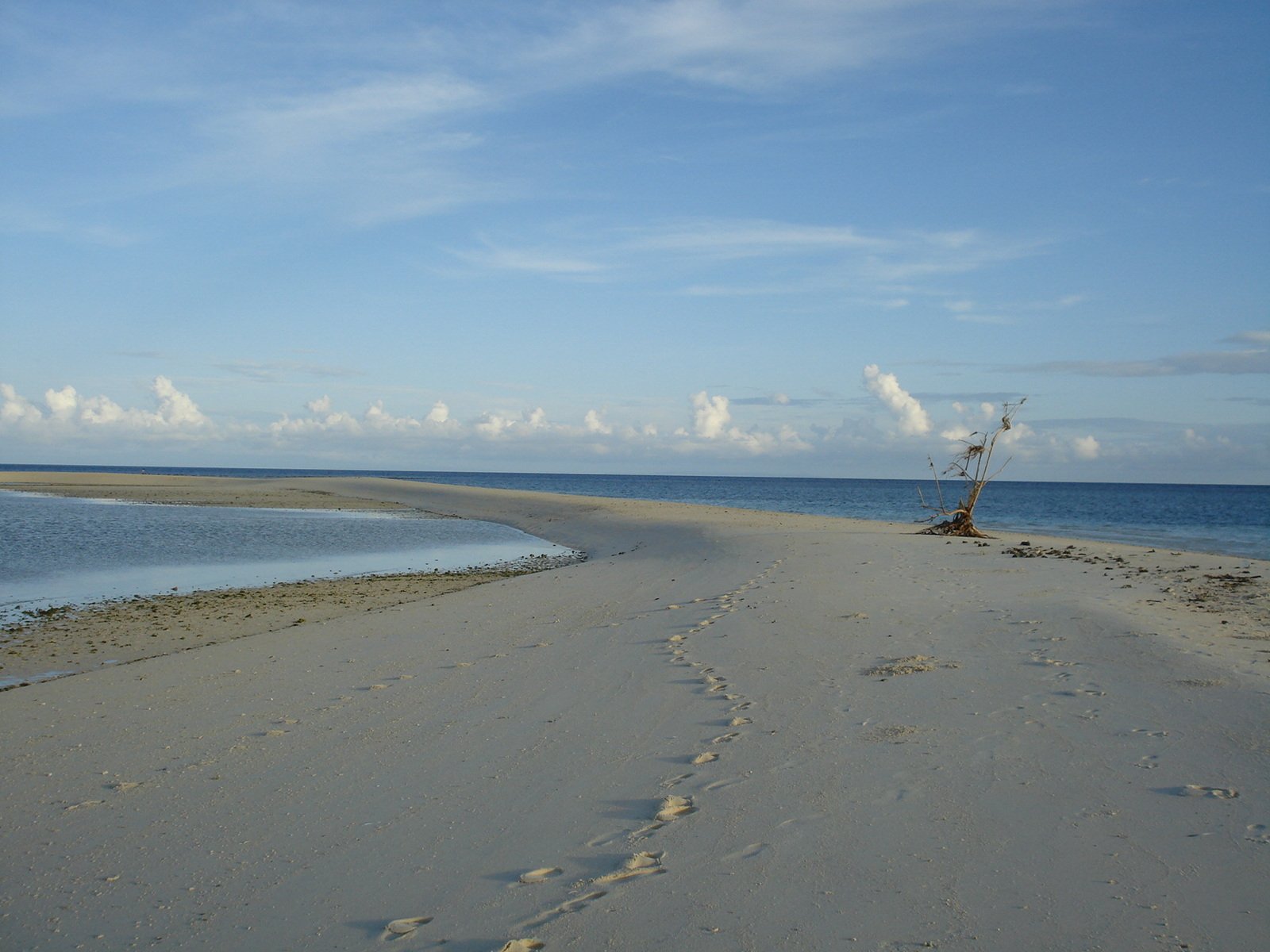 a po taken from the shore looking out to sea