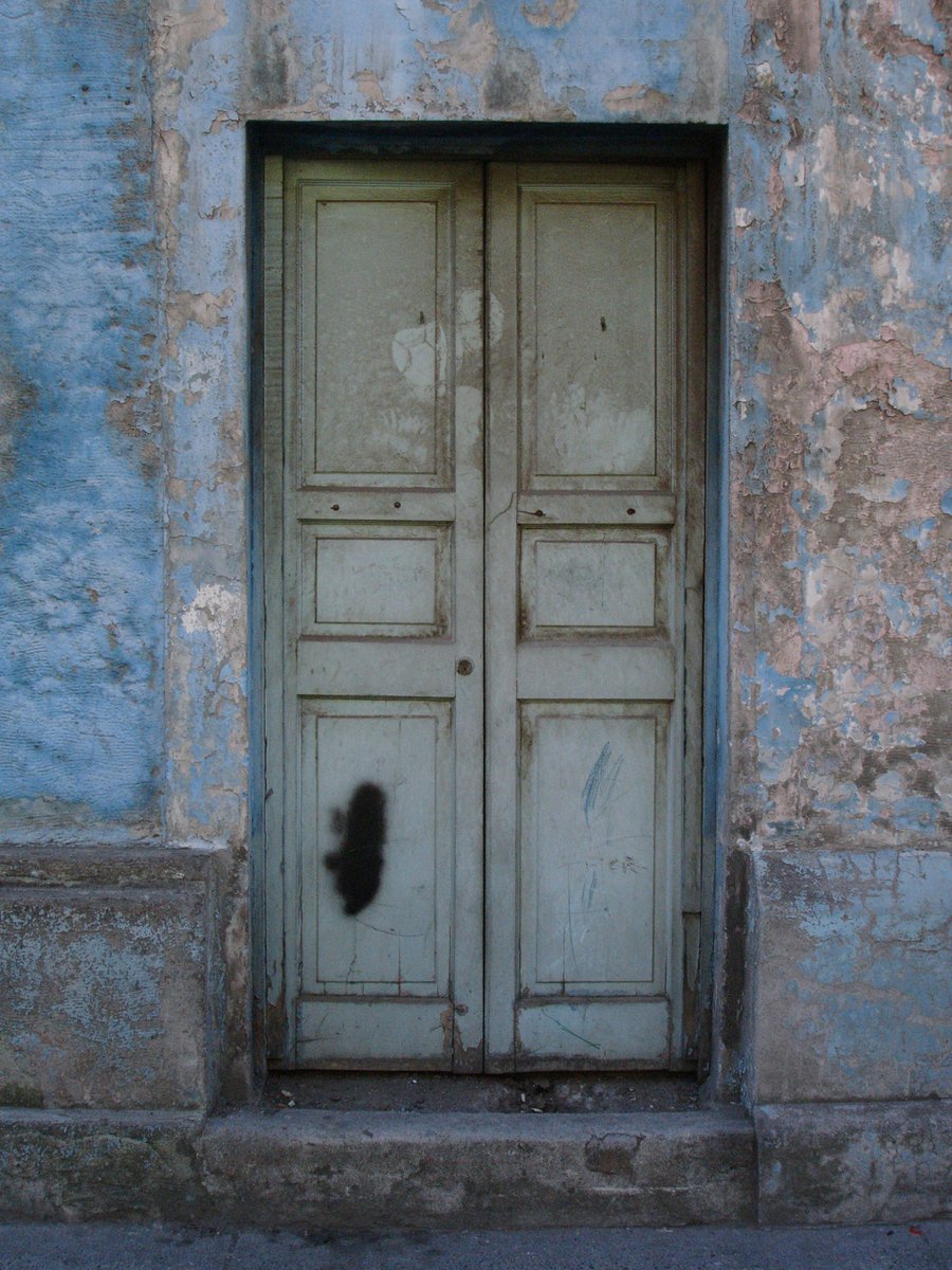 an old wooden door and two cats on concrete steps