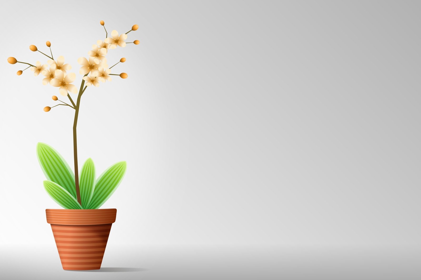 an illustration of a potted plant with a brown stem