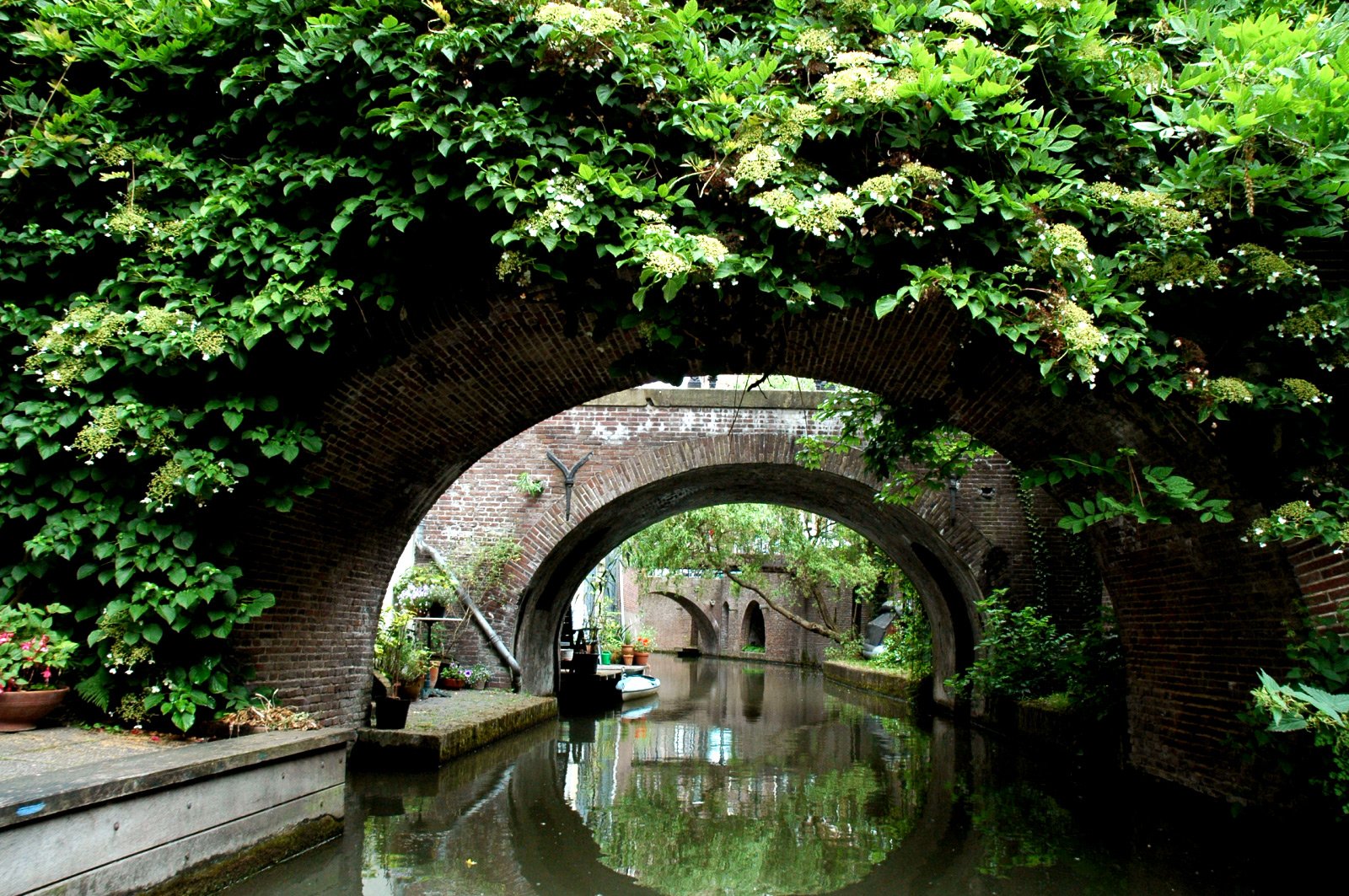 arched passage of canal with greenery and boat on water