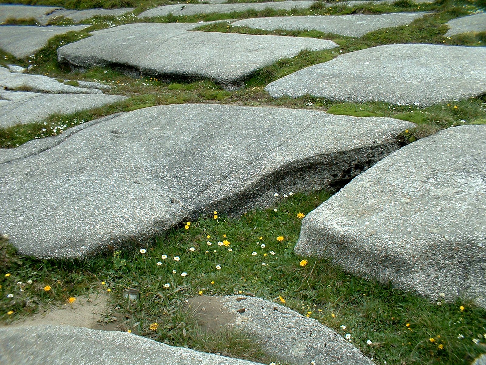 some large stones and green grass around them