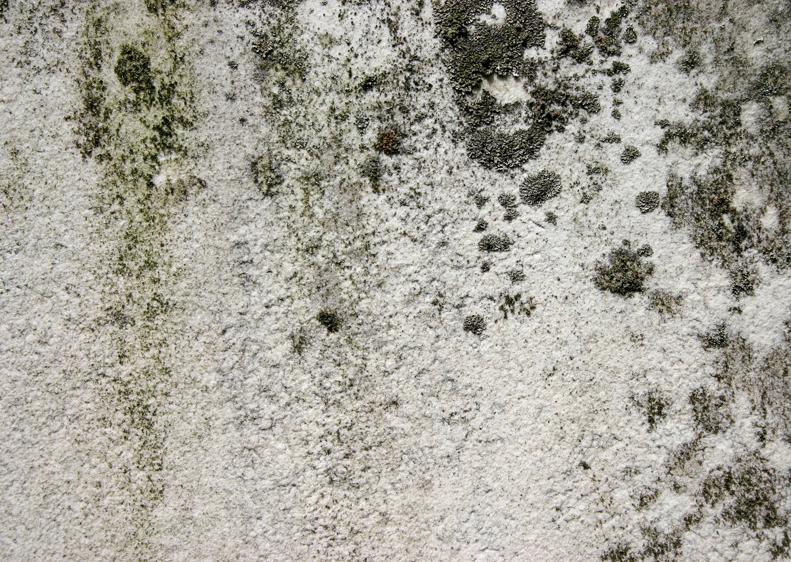 an abstract image of white and brown mud