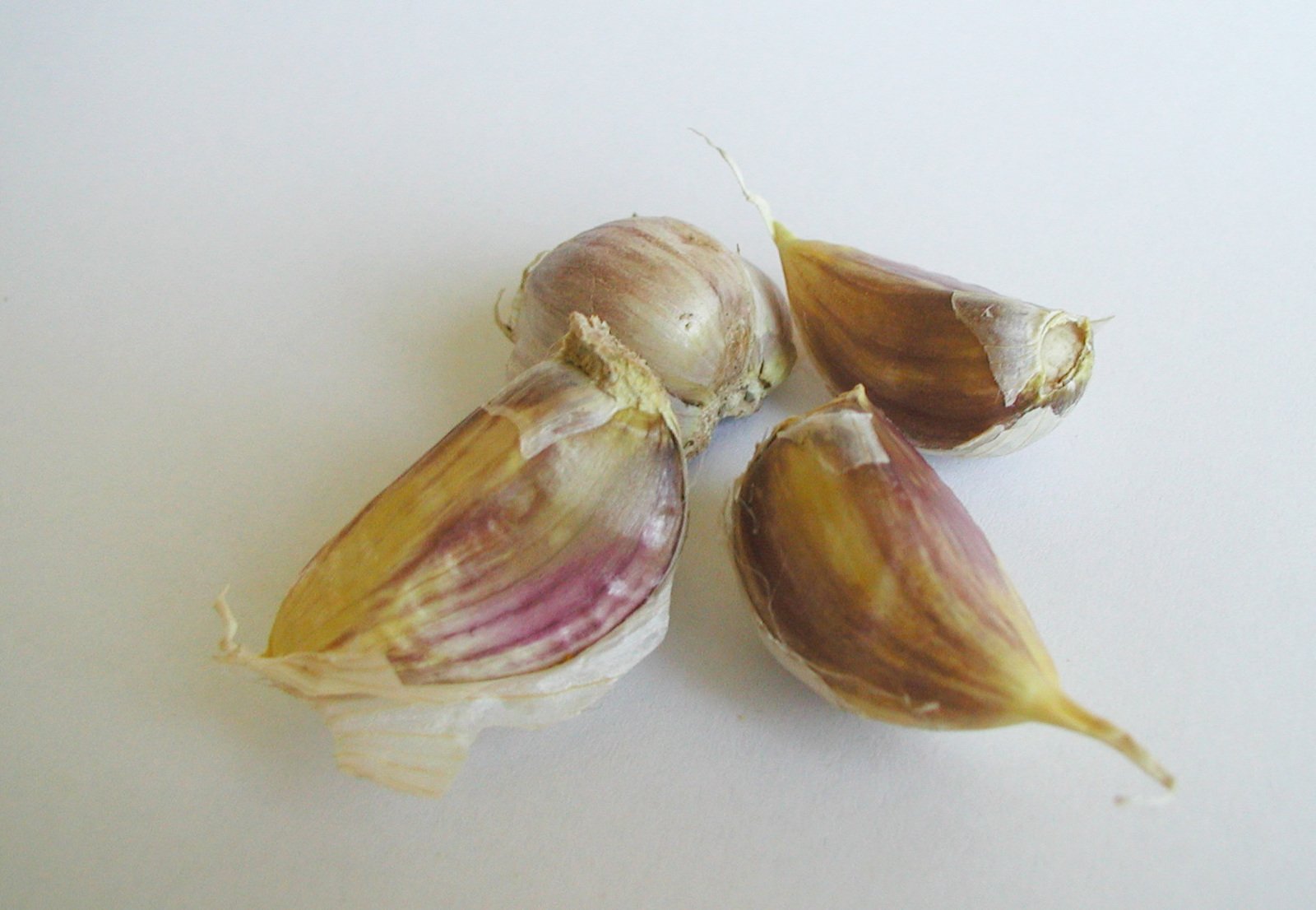 three garlic bulbs still on their side, still attached to them