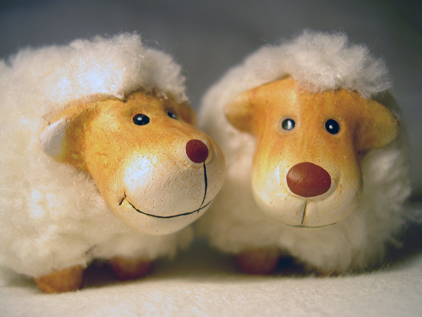 there is a small pair of stuffed sheeps that have been placed together