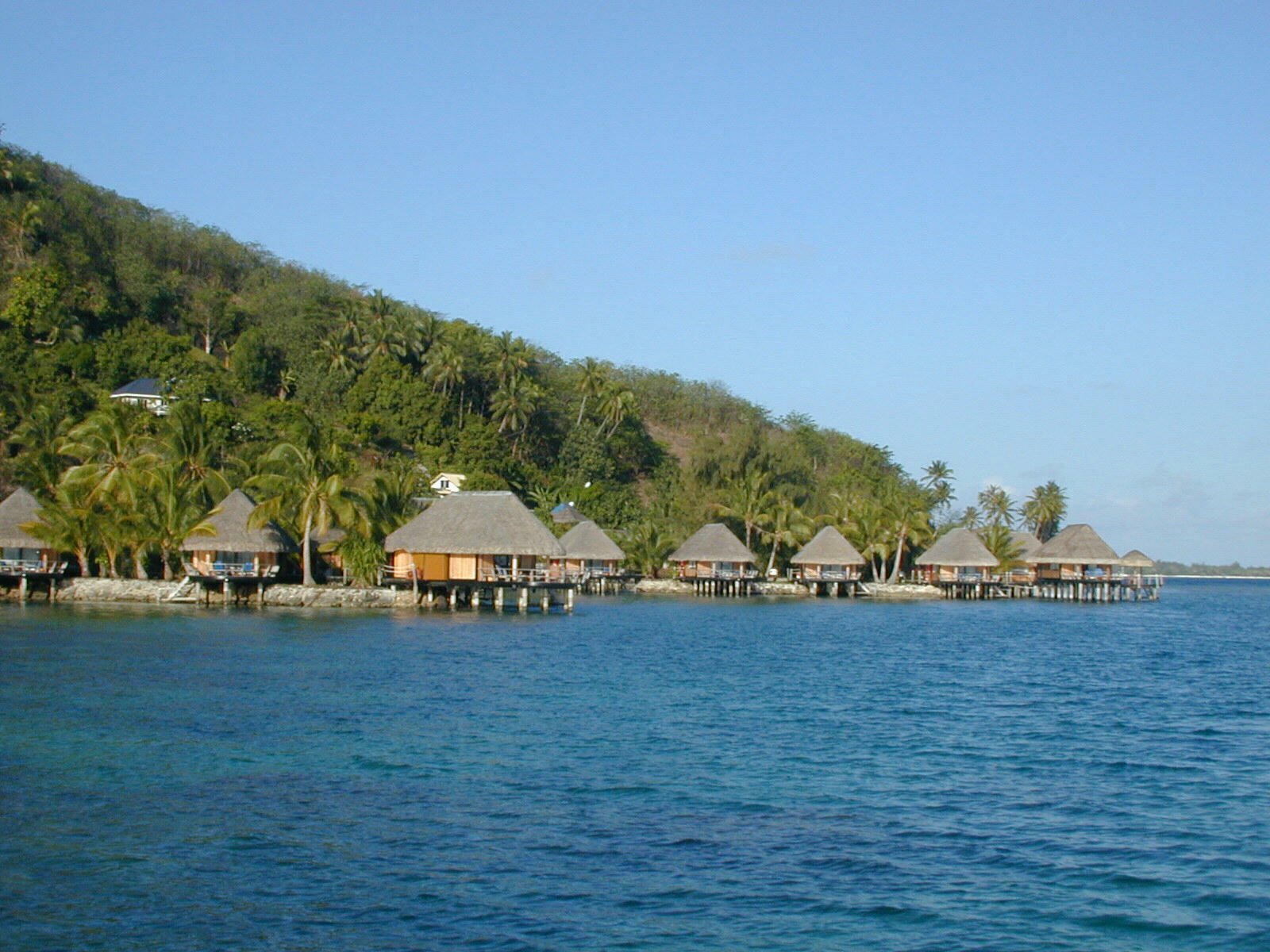 houses line the shore of the ocean near a tropical forest